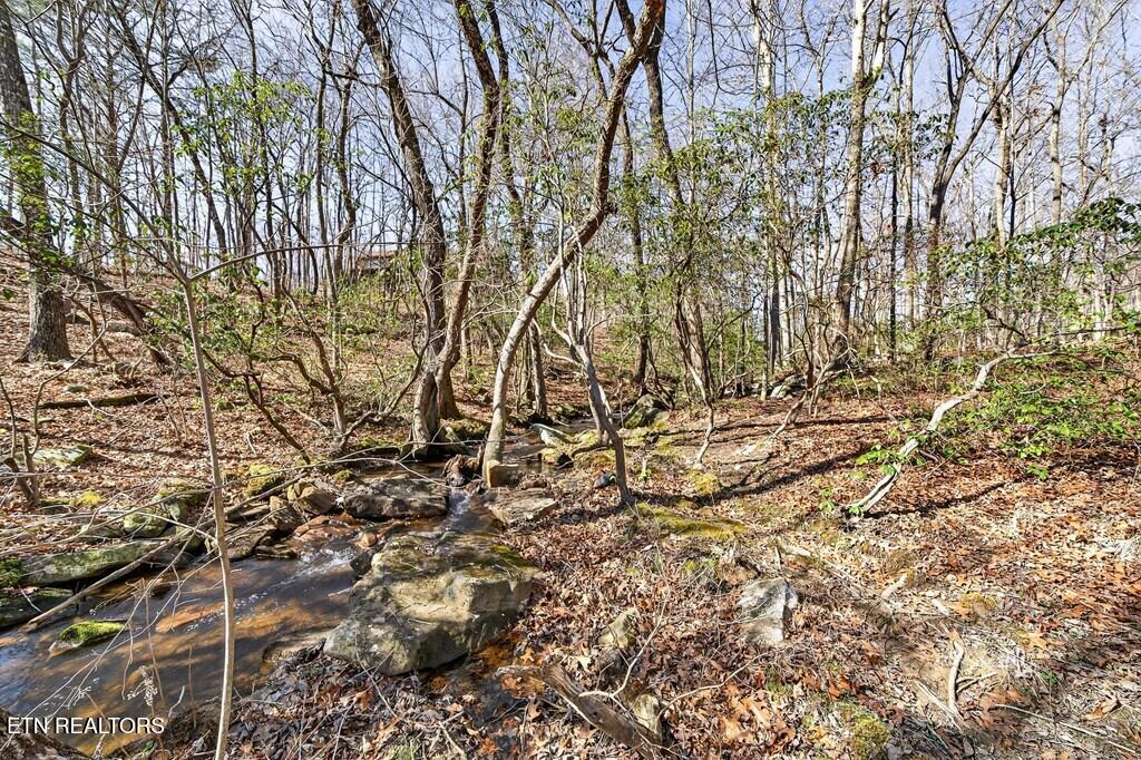 499 Hemlock Lane Spencer TN 38585