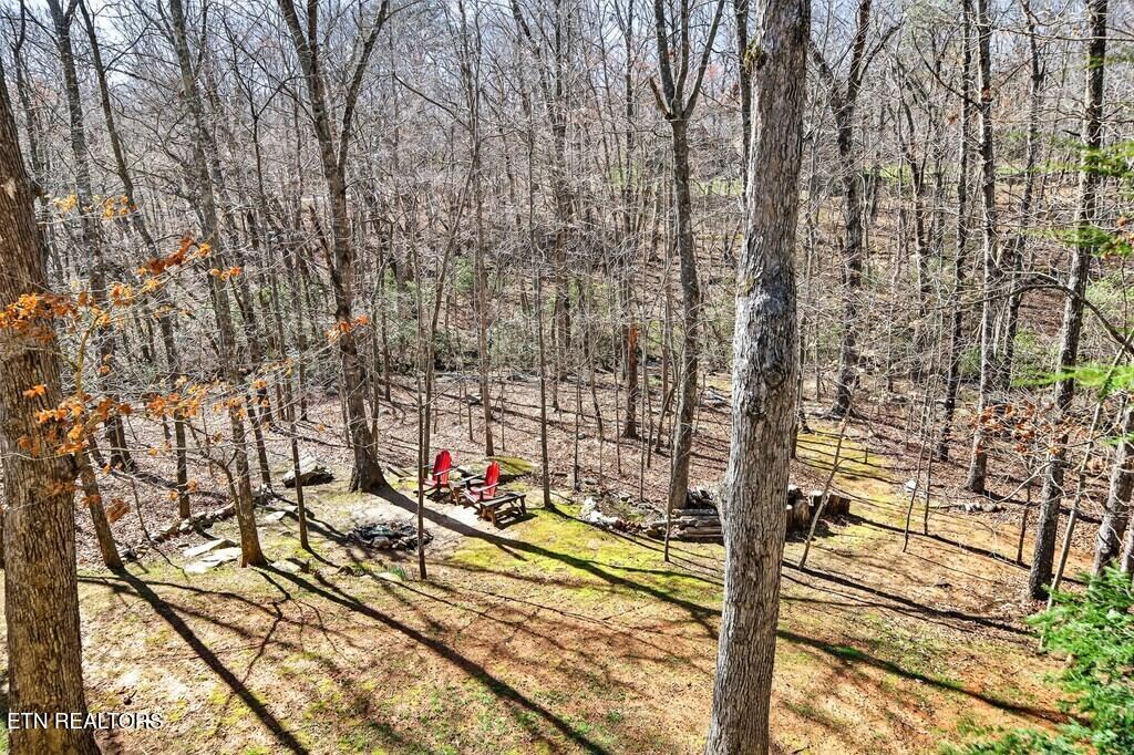 499 Hemlock Lane Spencer TN 38585