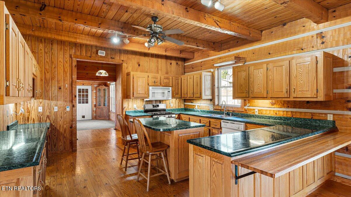 1793 Cherokee Drive Bean Station TN 37708