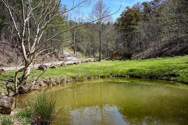 1069 Bryan View Road Sevierville TN 37862
