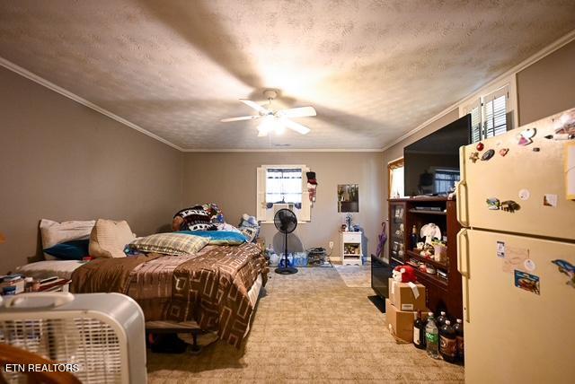 1069 Bryan View Road Sevierville TN 37862
