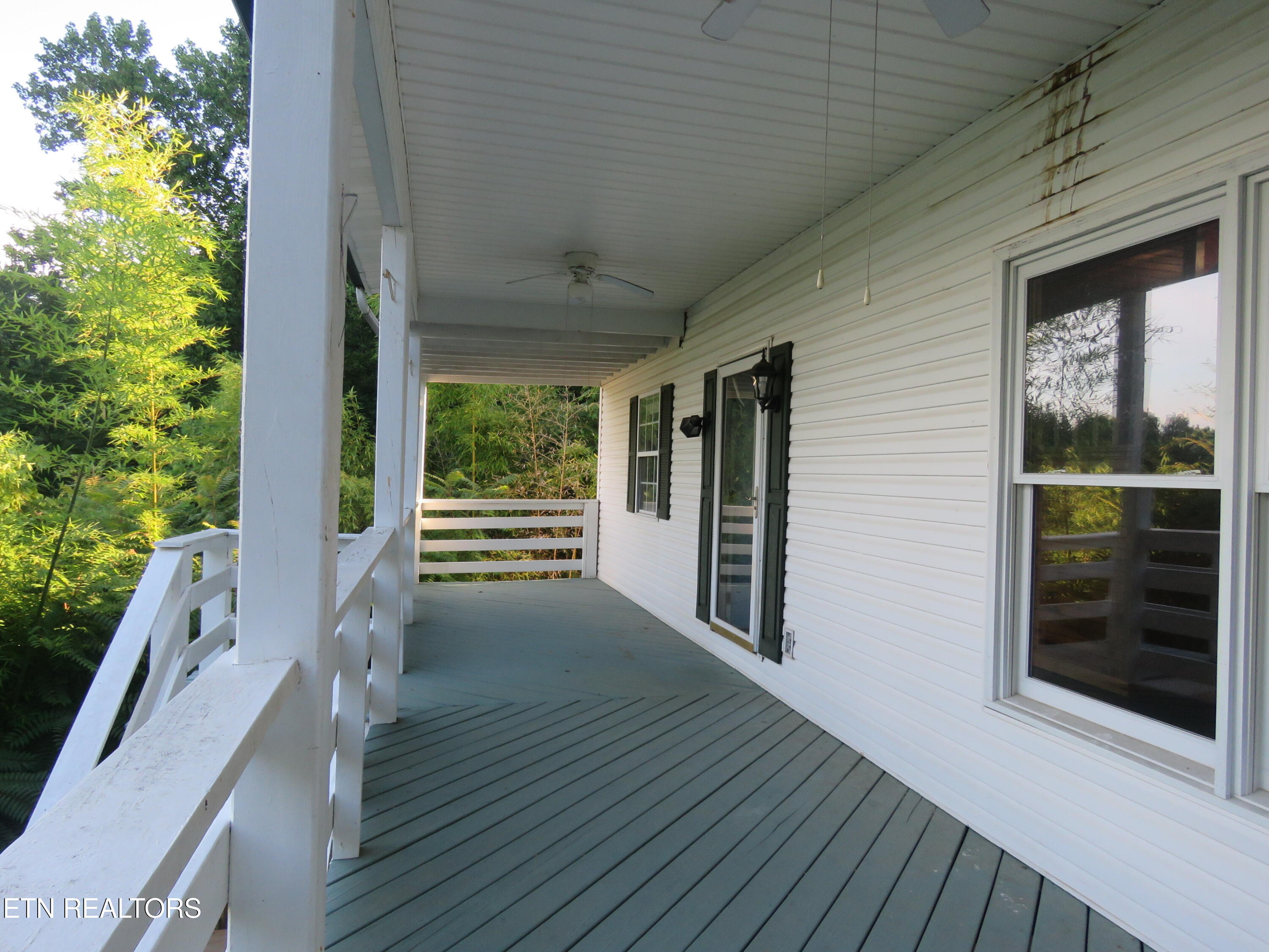 2425 Promise Lane White Pine TN 37890