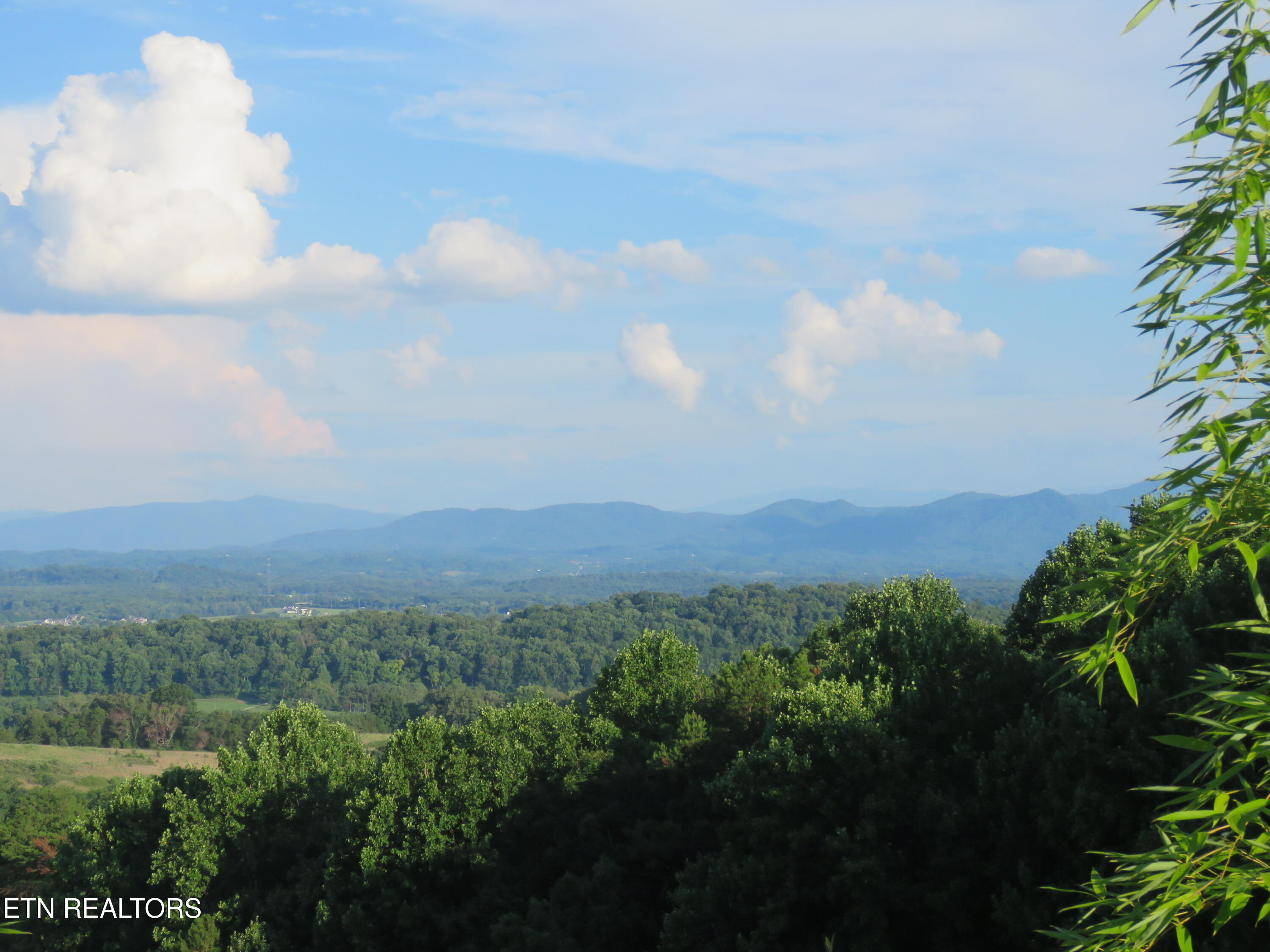2425 Promise Lane White Pine TN 37890