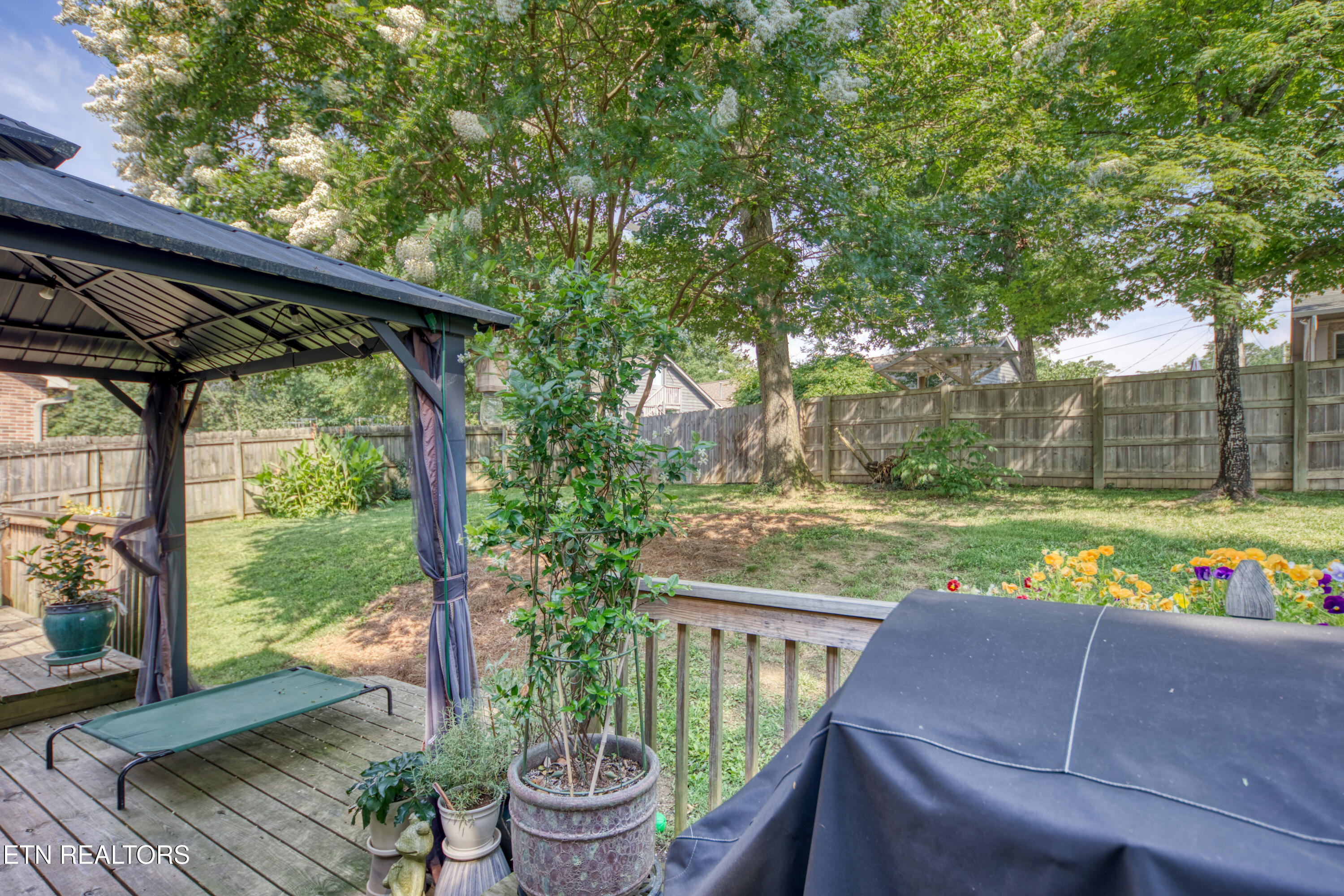 3225 Great Meadows Drive Knoxville TN 37920