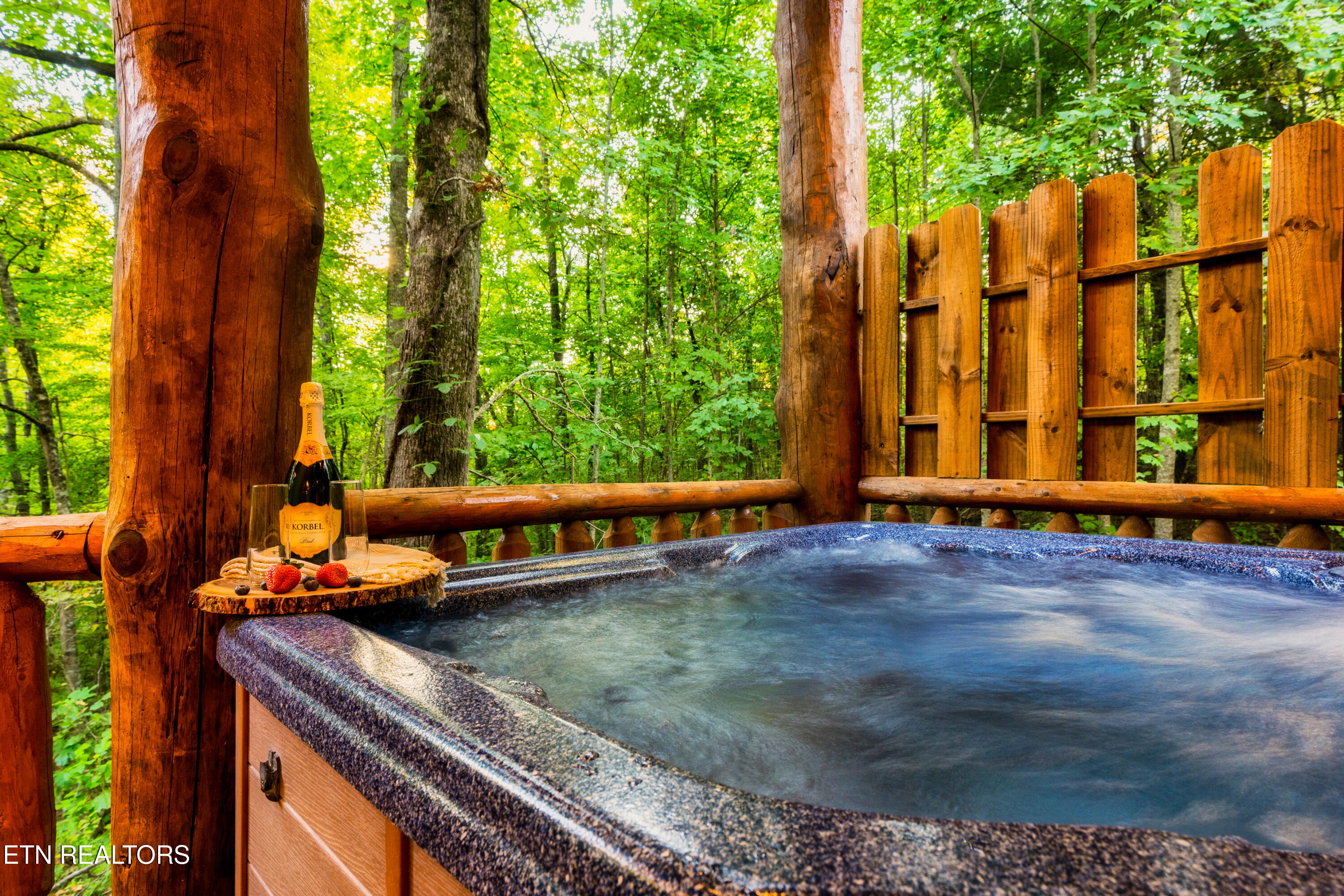 4250 Mountain Rest Way Sevierville TN 37876