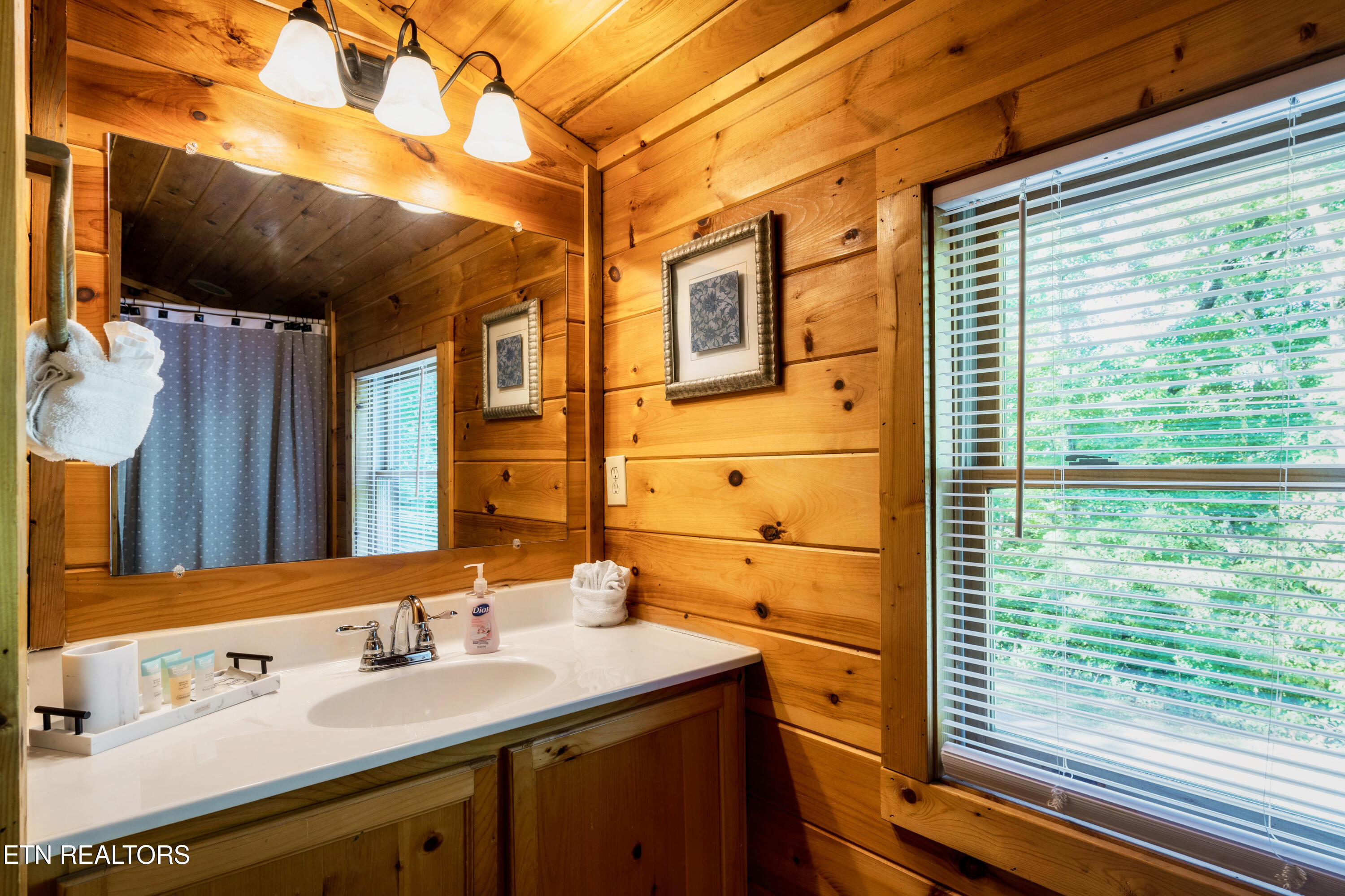4250 Mountain Rest Way Sevierville TN 37876