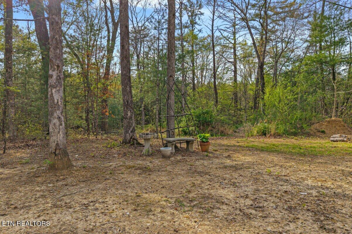 290 Curnutt Lane Ten Mile TN 37880