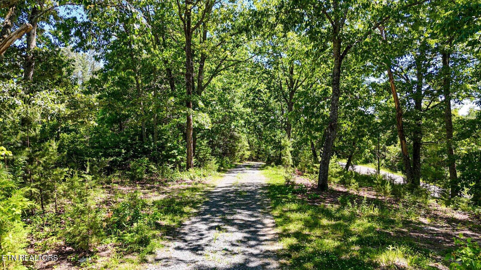 522 County Road 271 Niota TN 37826