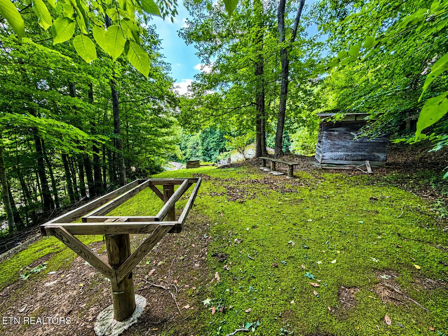 7914 Brimstone Road Robbins TN 37852