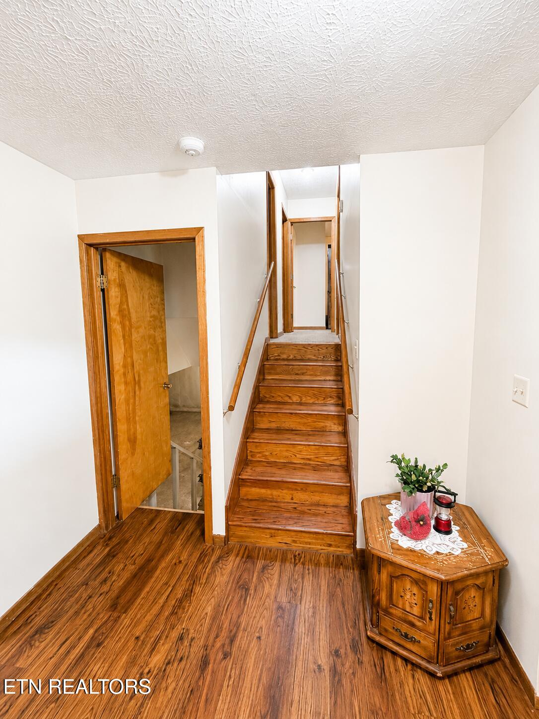 7914 Brimstone Road Robbins TN 37852