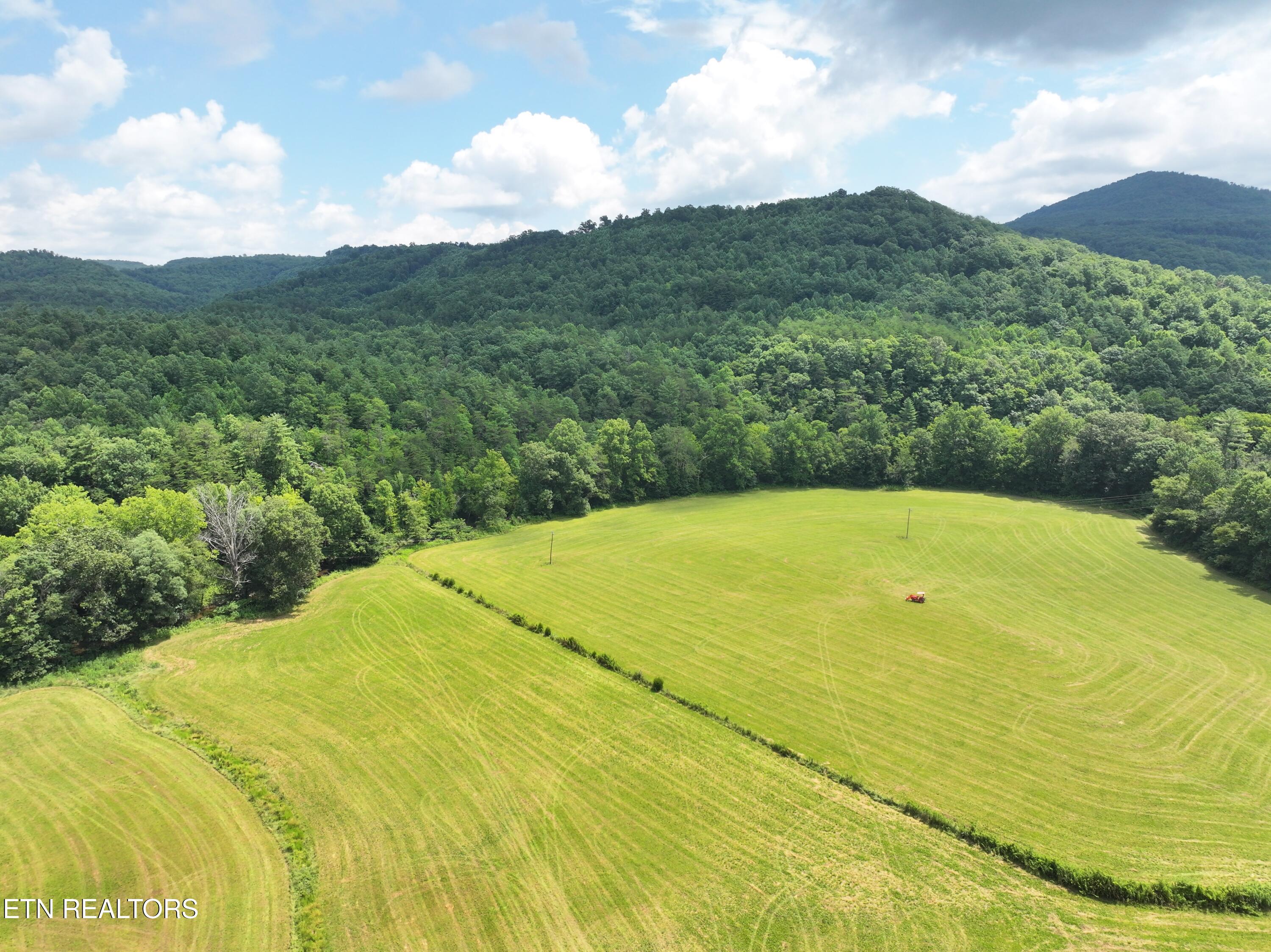 7914 Brimstone Road Robbins TN 37852