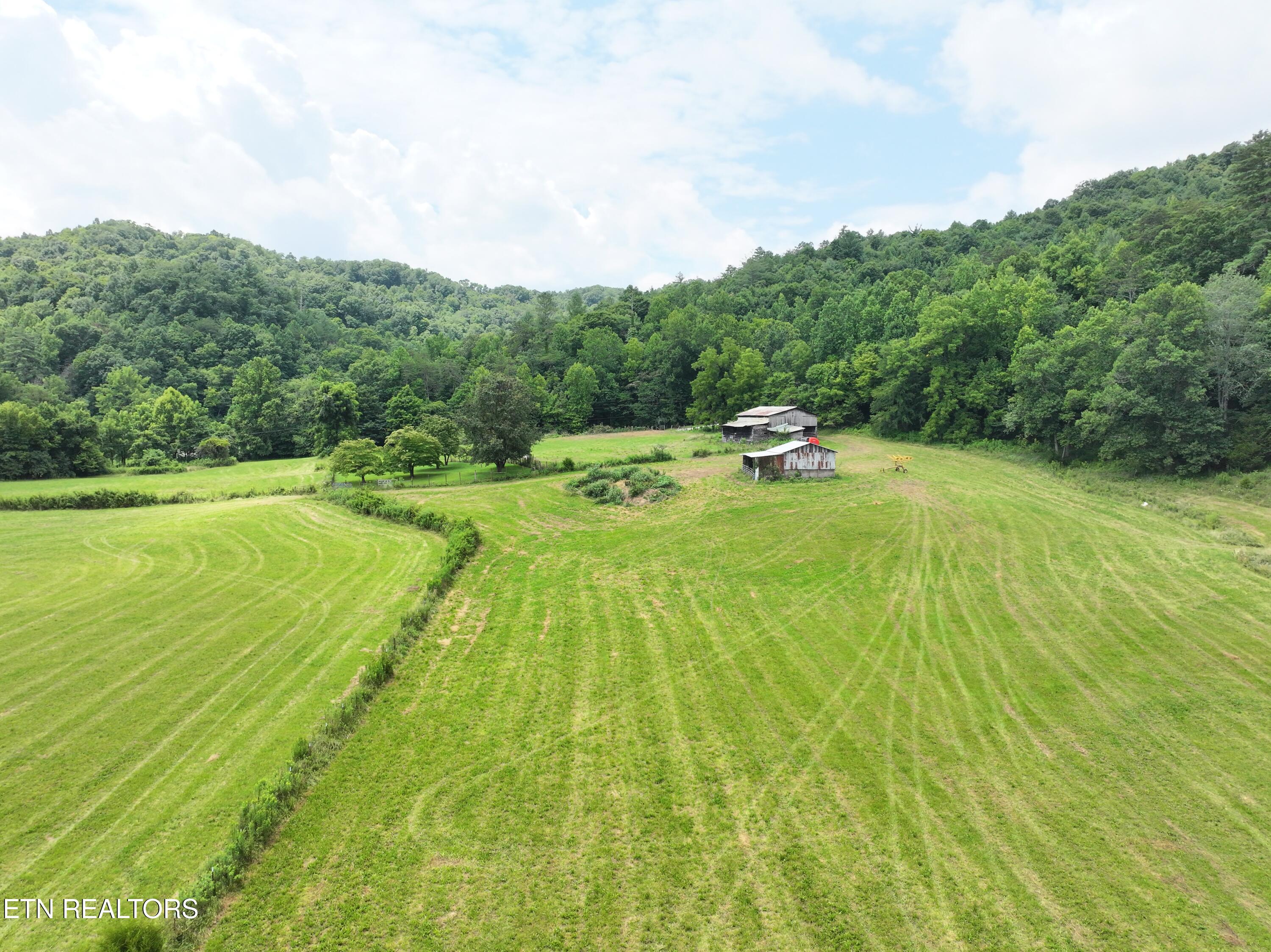 7914 Brimstone Road Robbins TN 37852