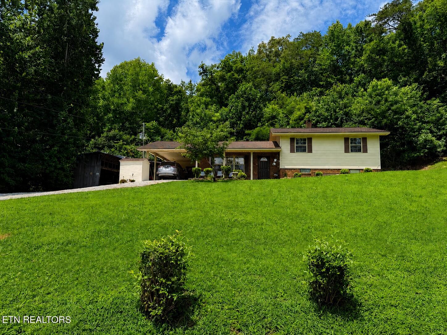 7914 Brimstone Road Robbins TN 37852