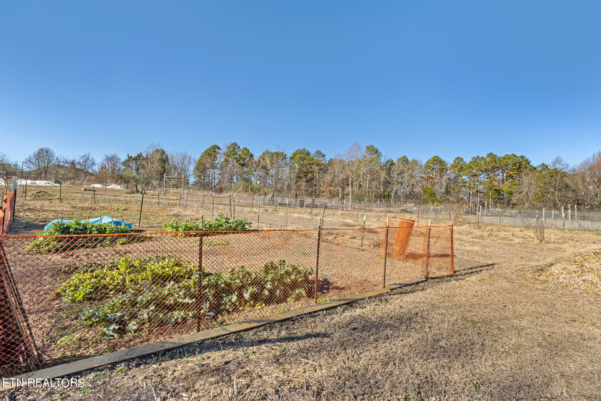 112 Kolana Lane Loudon TN 37774