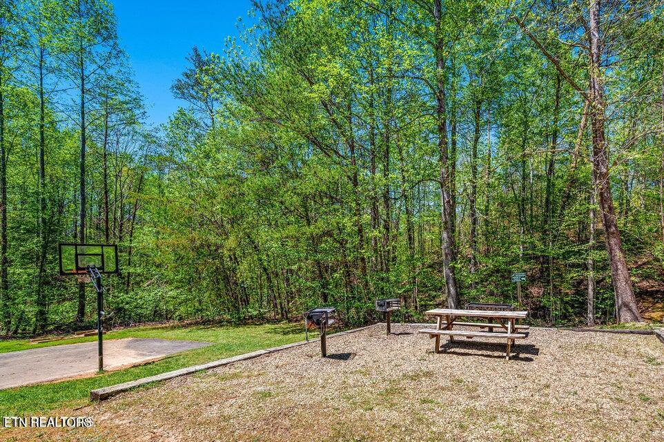 3710 Weber Road Gatlinburg TN 37738