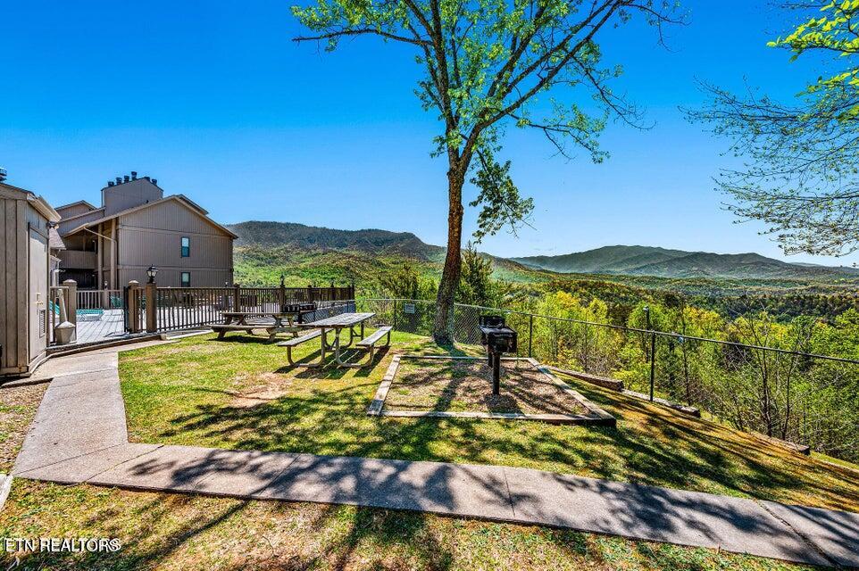 3710 Weber Road Gatlinburg TN 37738