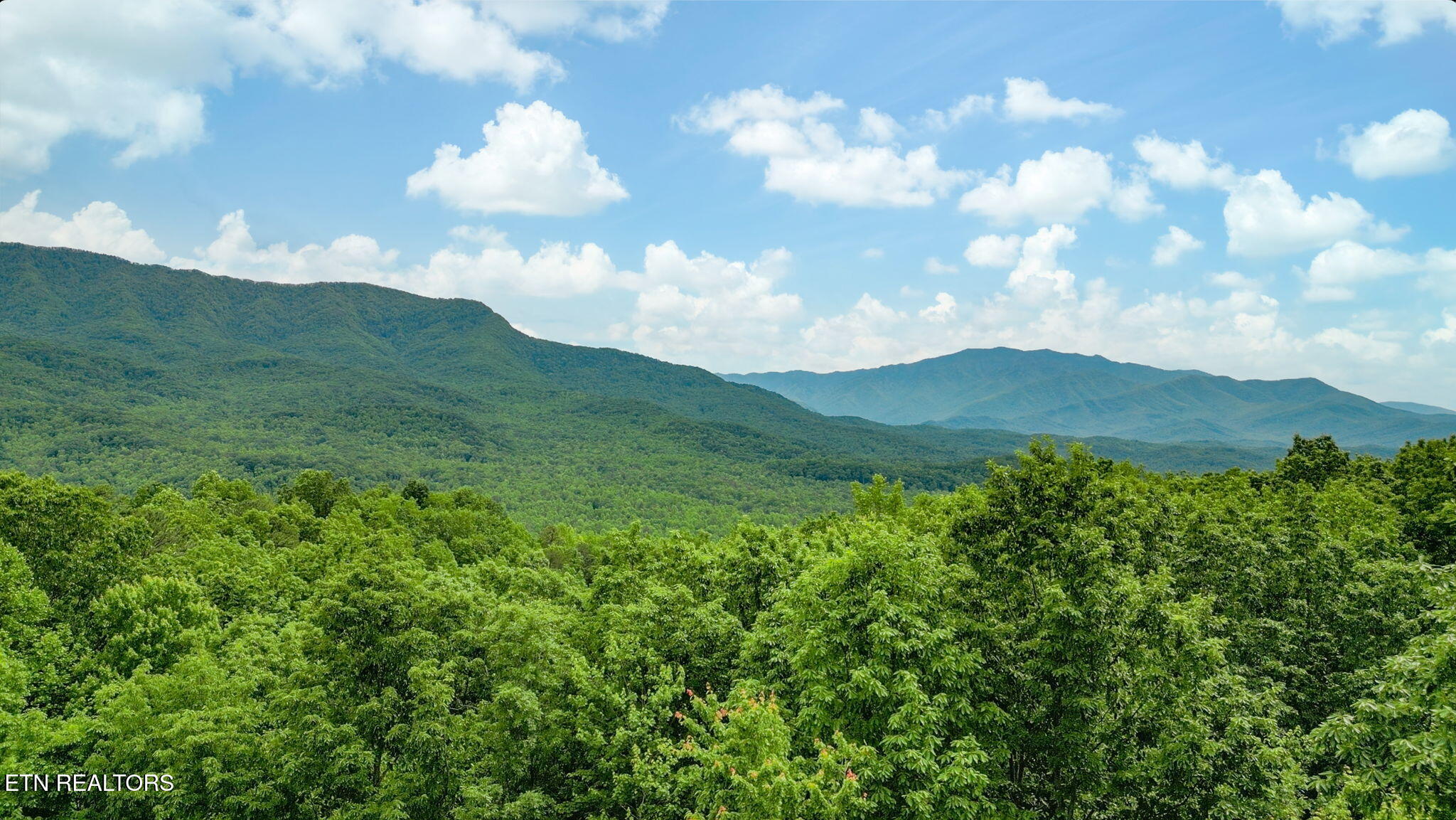 3710 Weber Road Gatlinburg TN 37738