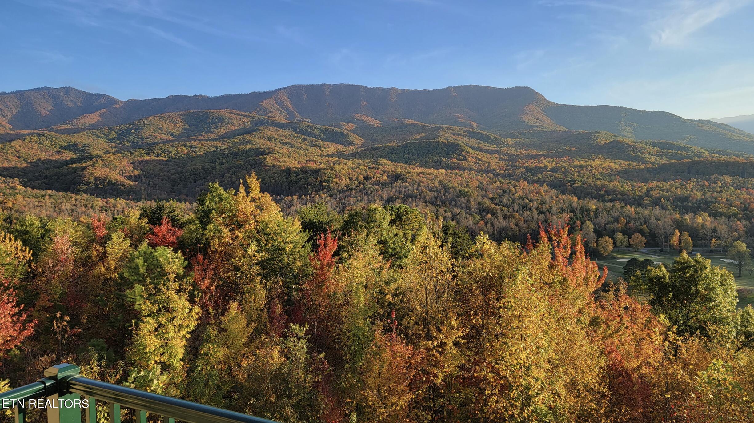 3710 Weber Road Gatlinburg TN 37738