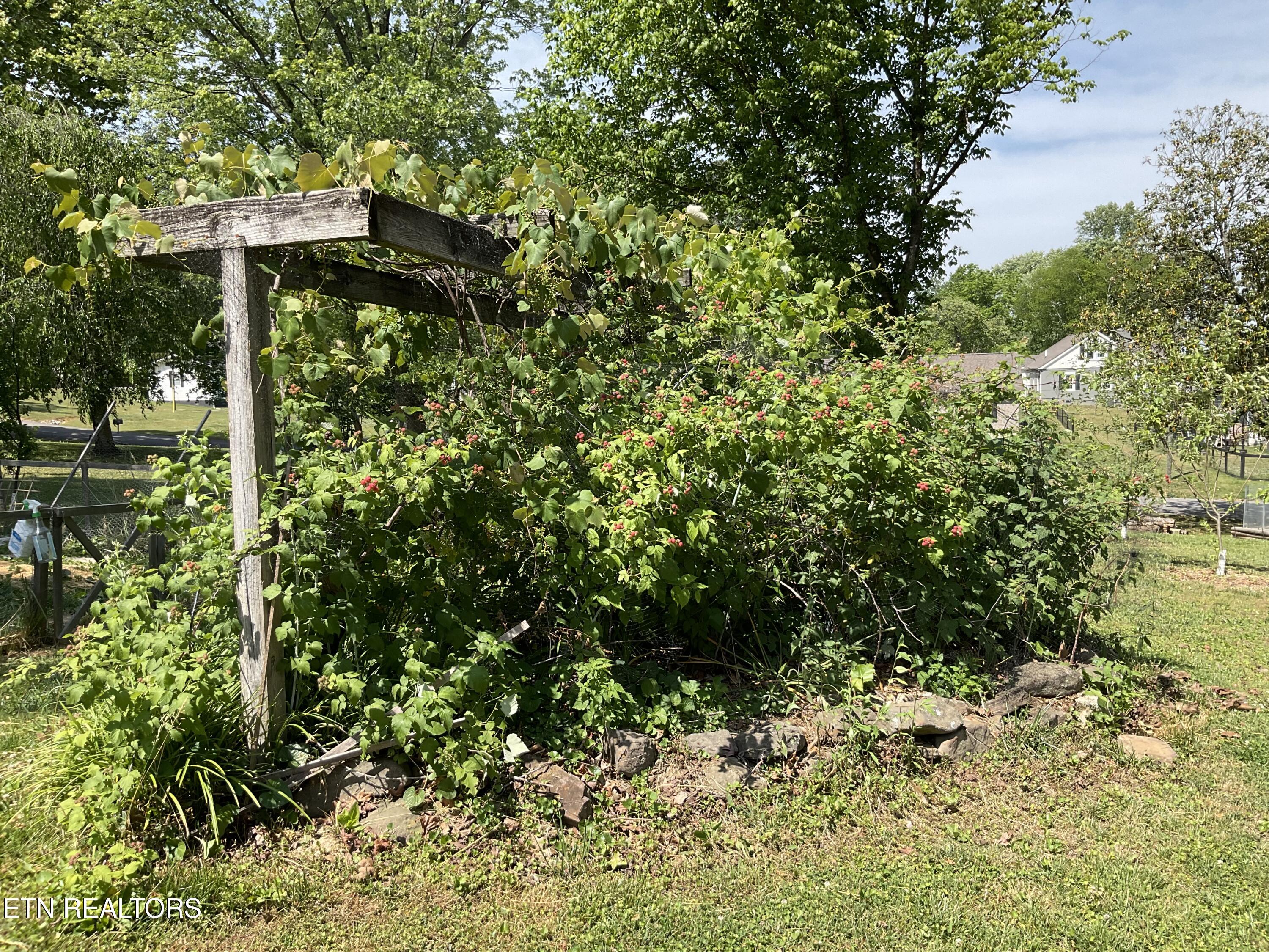 328 Ridgeview Drive Clinton TN 37716