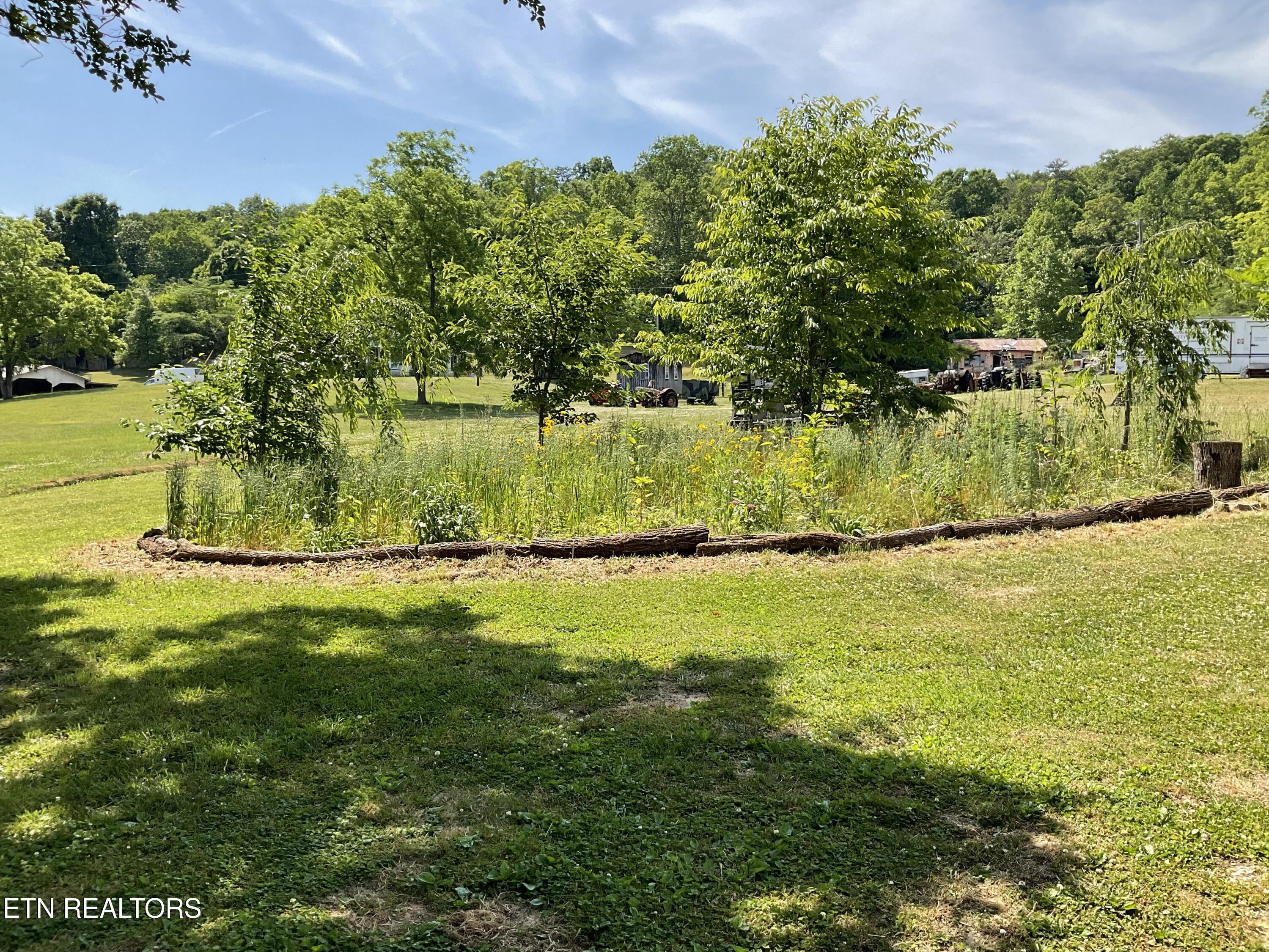 328 Ridgeview Drive Clinton TN 37716