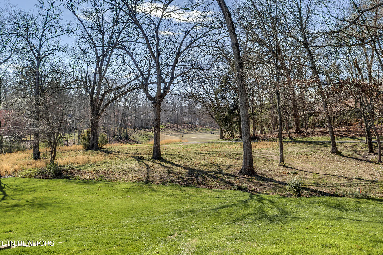146 Daleyuhski Way Loudon TN 37774