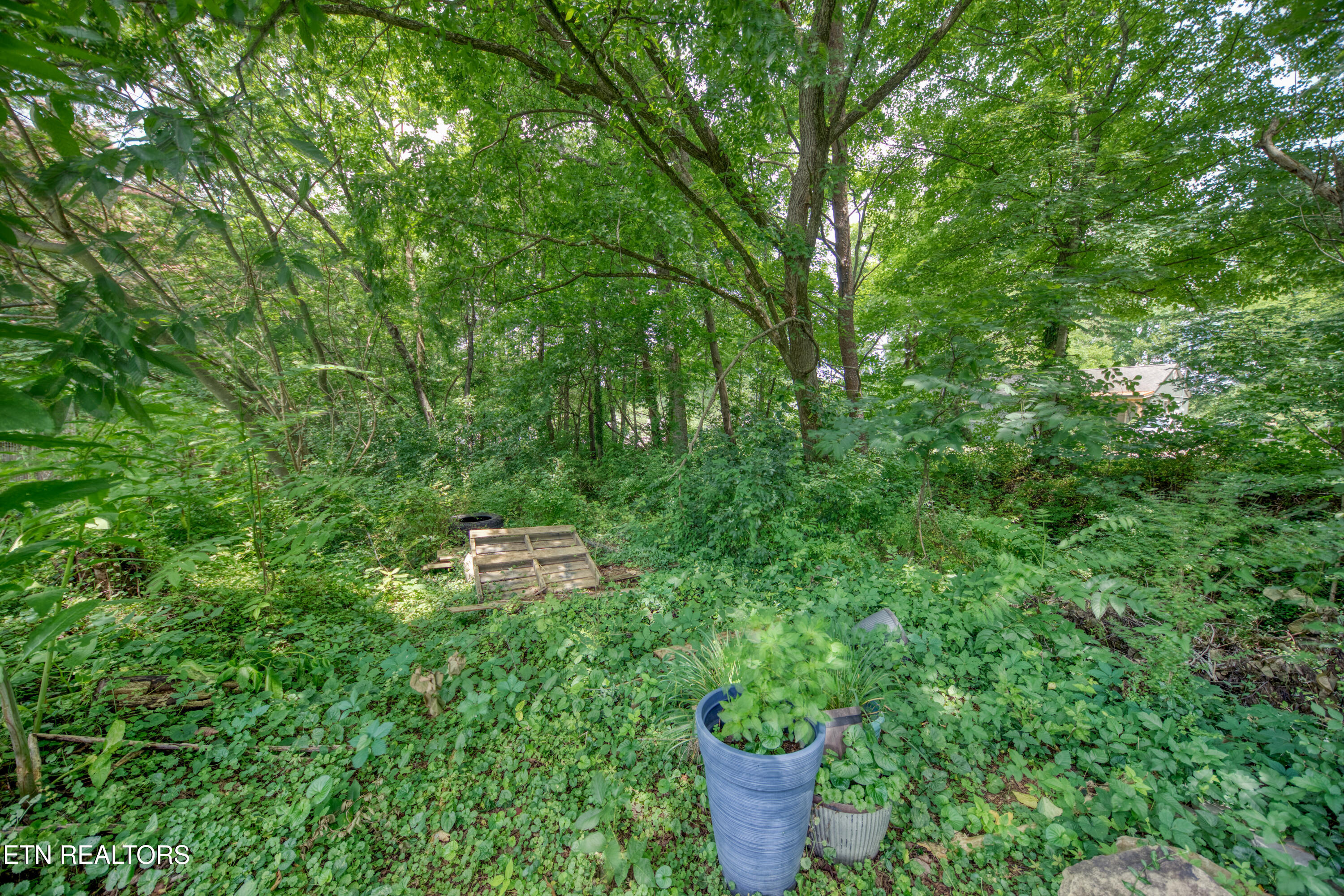 425 W Ford Valley Road Knoxville TN 37920