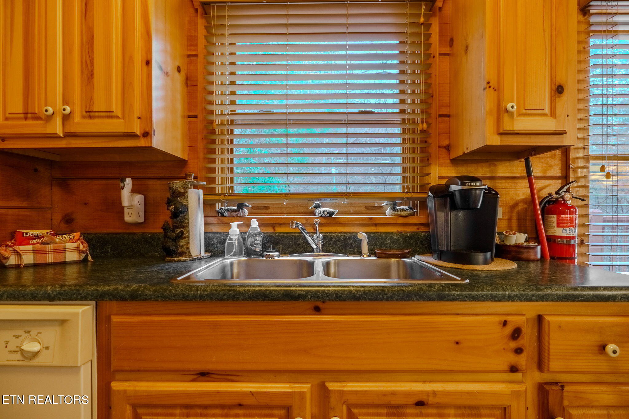 4320 Carolina Cove Way Pigeon Forge TN 37863