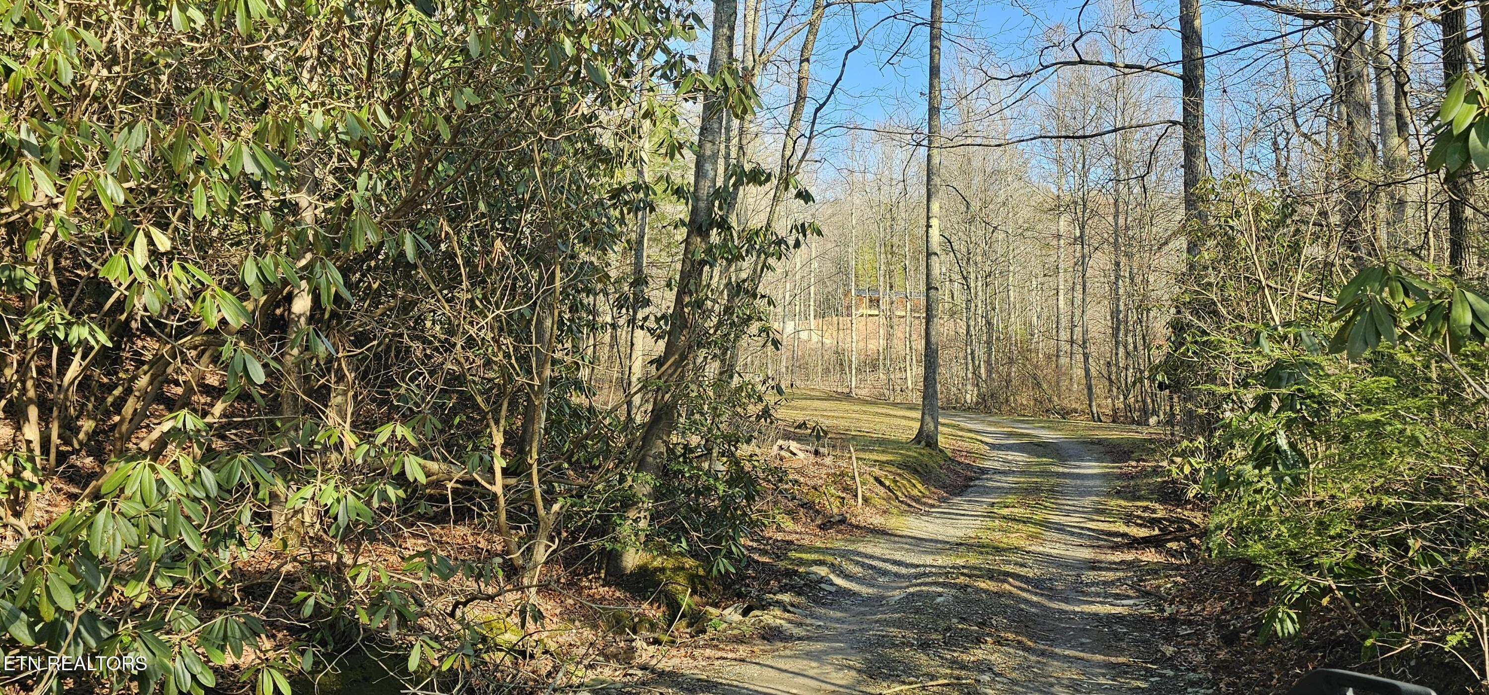 248 Lower Smithfield Road Tellico Plains TN 37385