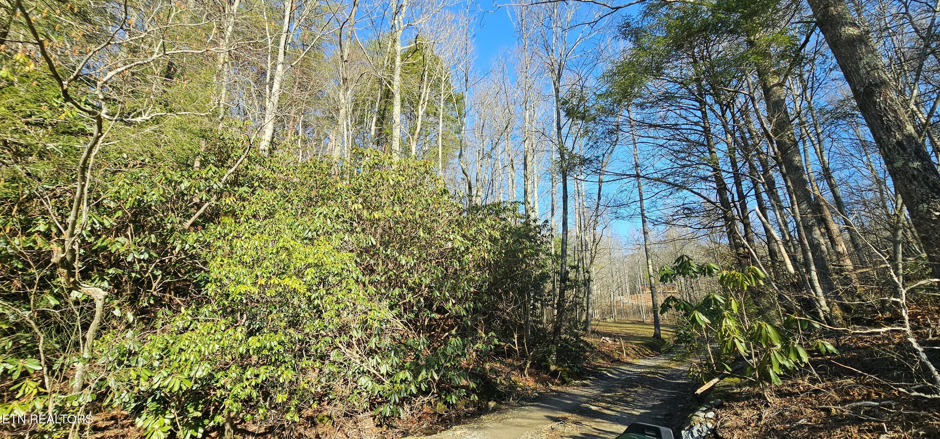 248 Lower Smithfield Road Tellico Plains TN 37385