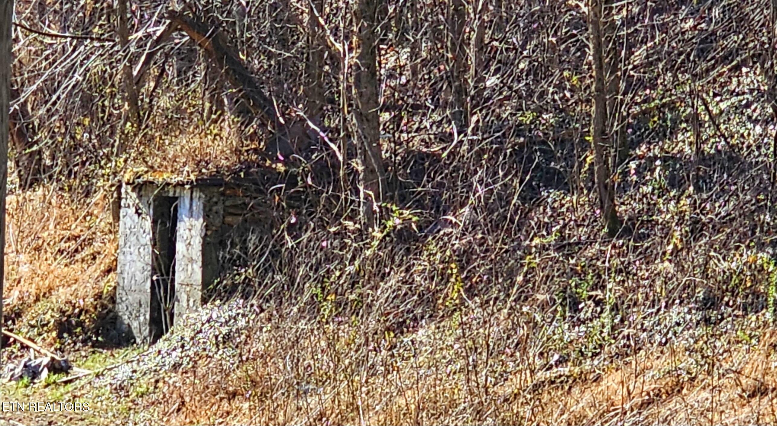 248 Lower Smithfield Road Tellico Plains TN 37385