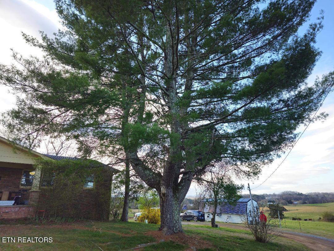 3451 Baker Springs Road White Pine TN 37890