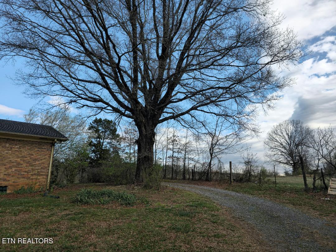3451 Baker Springs Road White Pine TN 37890