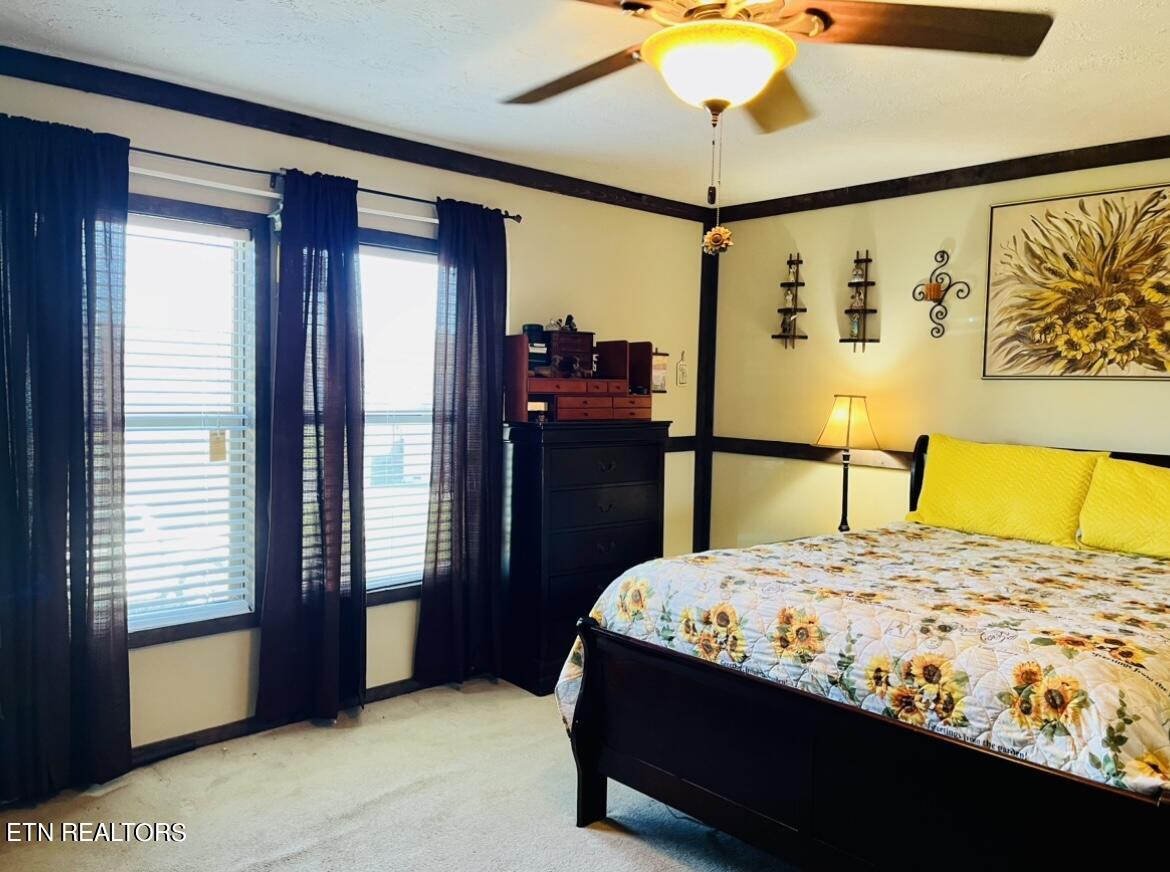 1216 Lookout Drive Rutledge TN 37861