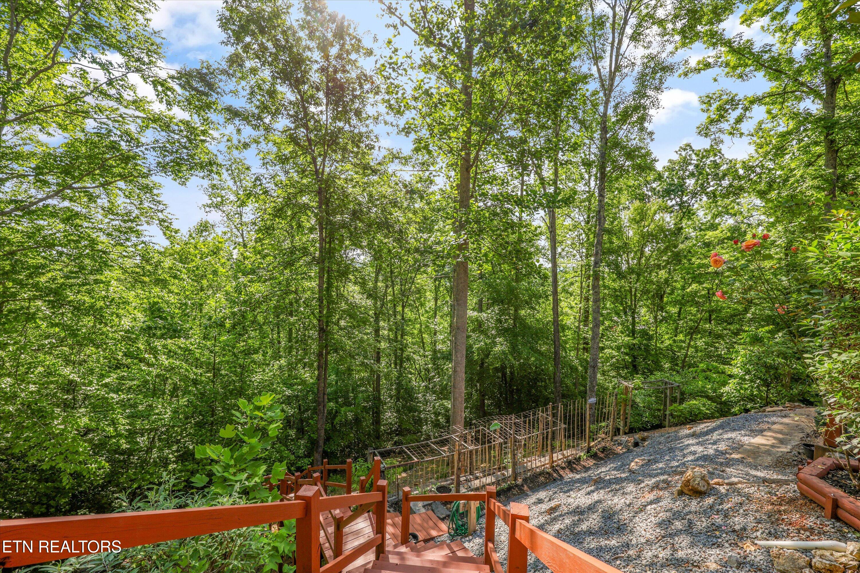 180 Silver Trail New Tazewell TN 37825
