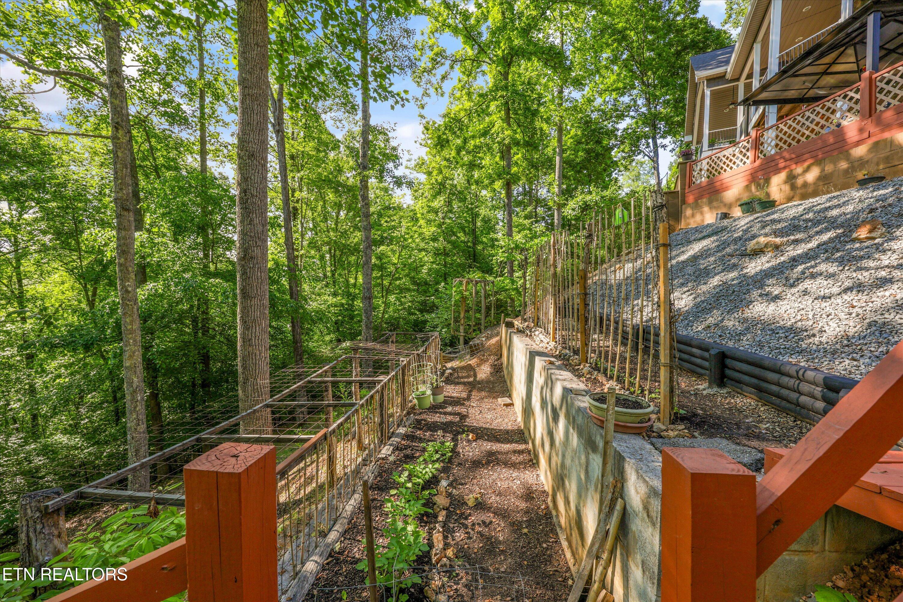 180 Silver Trail New Tazewell TN 37825