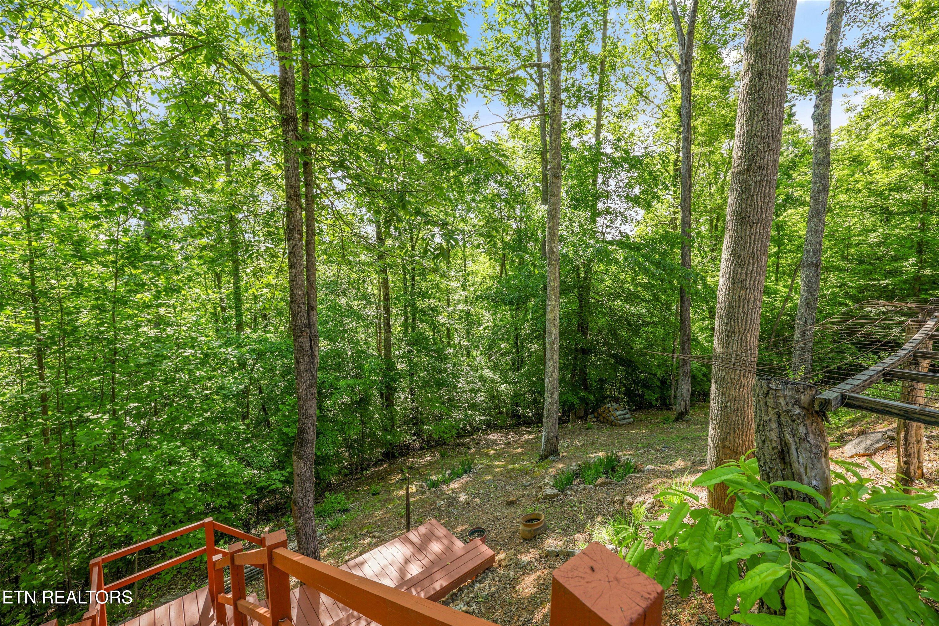 180 Silver Trail New Tazewell TN 37825