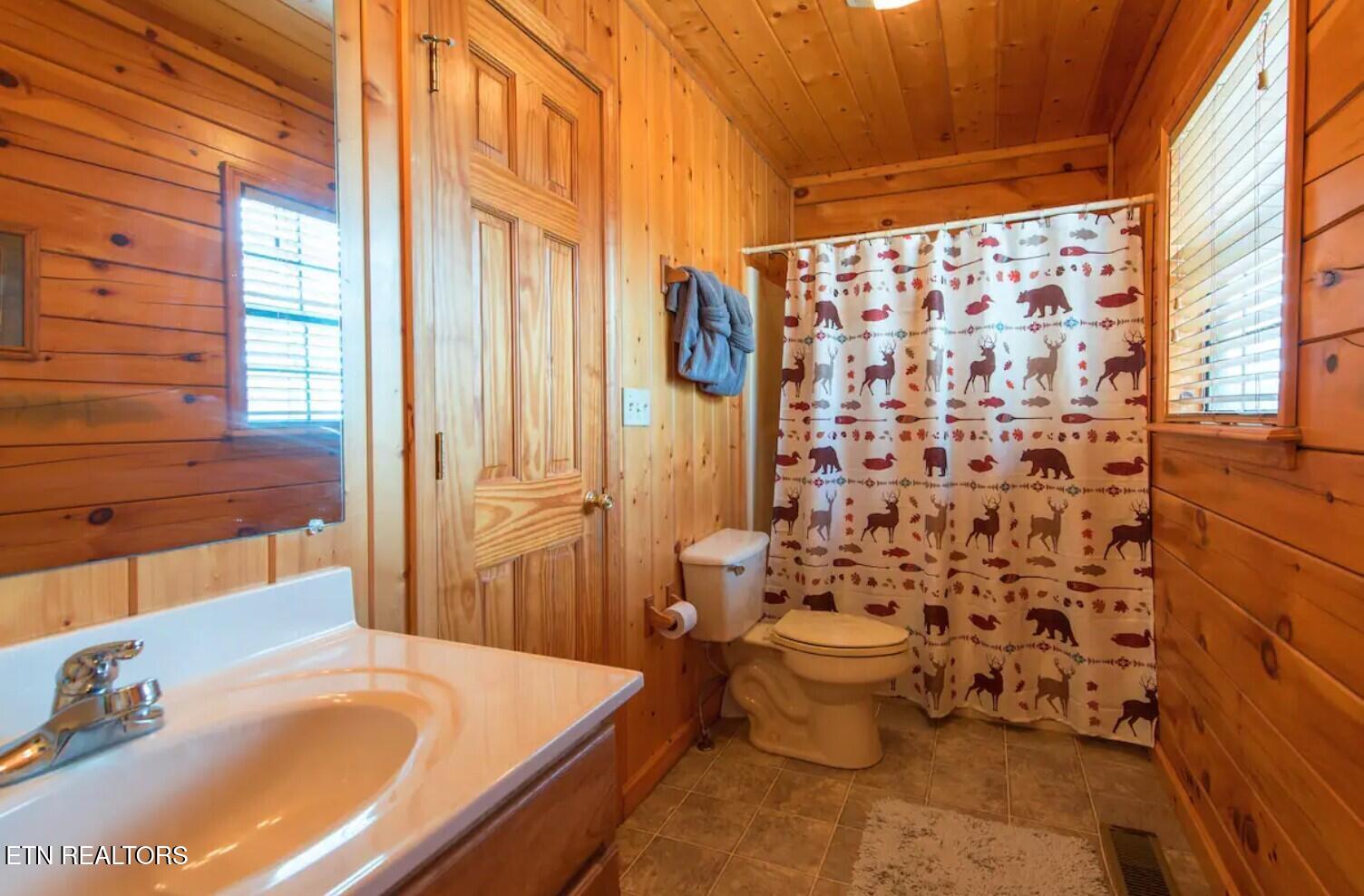 1519 Boo Boos Way Sevierville TN 37862