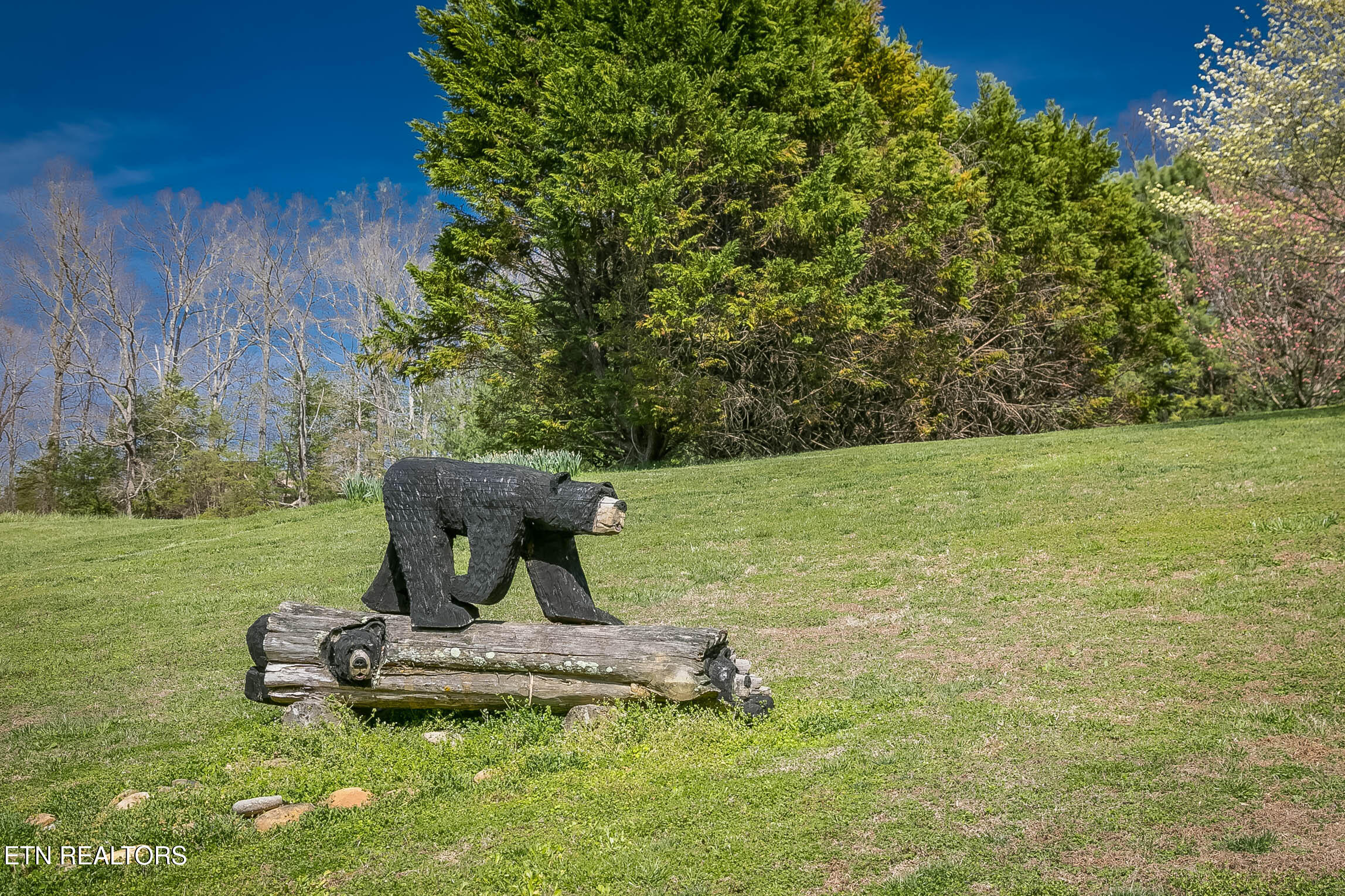 3385 Clear Valley Drive Sevierville TN 37862