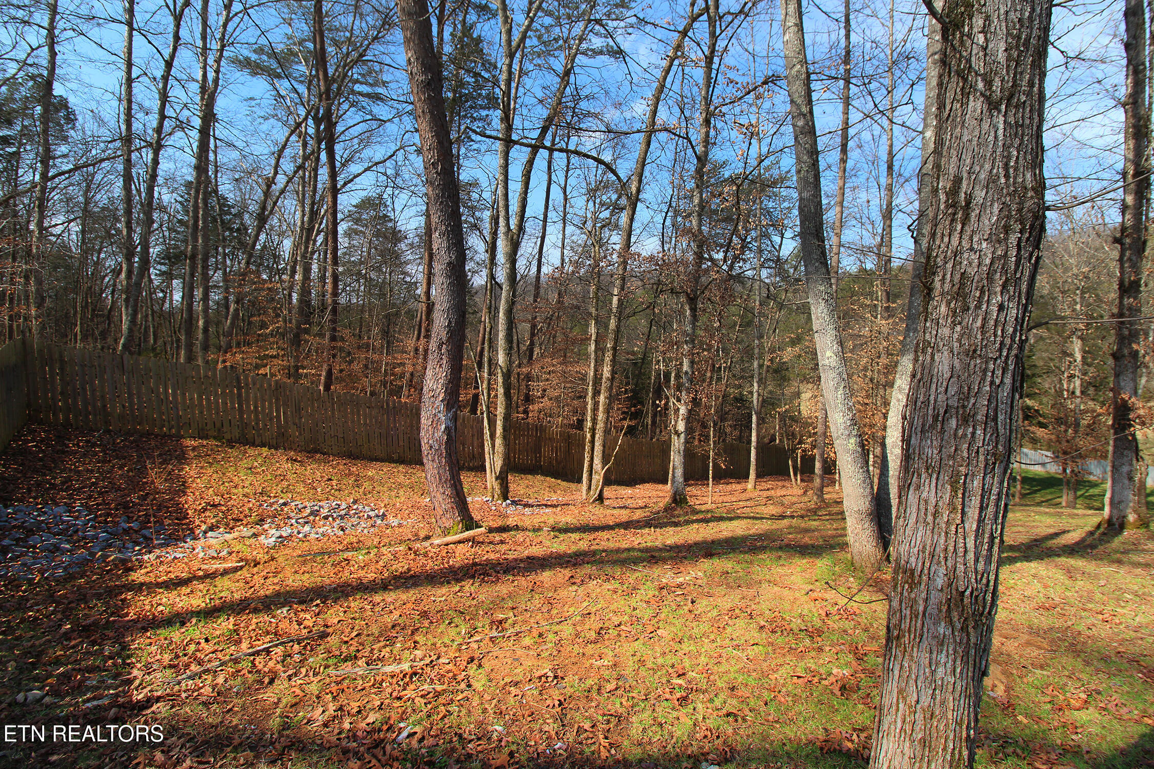 4816 E Raccoon Valley Drive Knoxville TN 37938