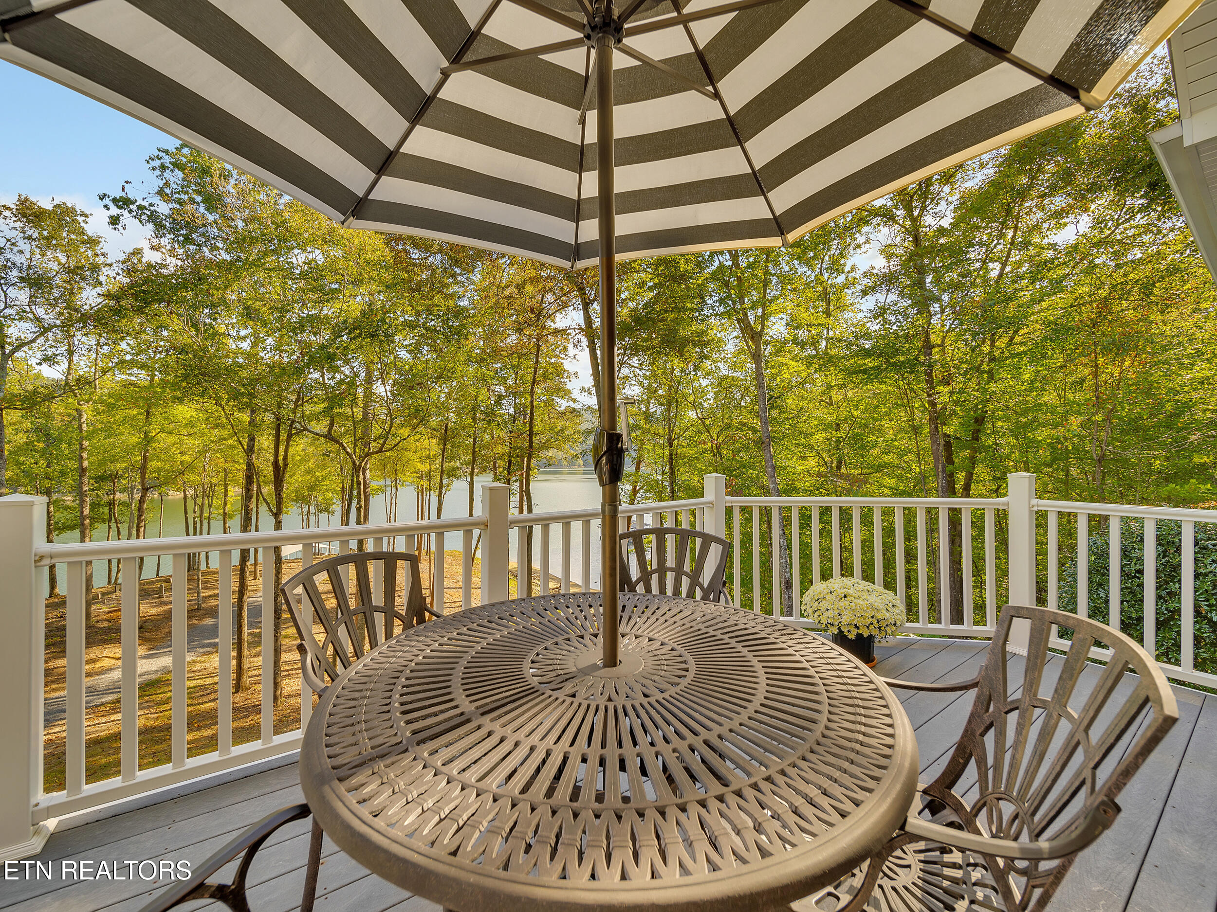 620 Bluff View Road New Tazewell TN 37825