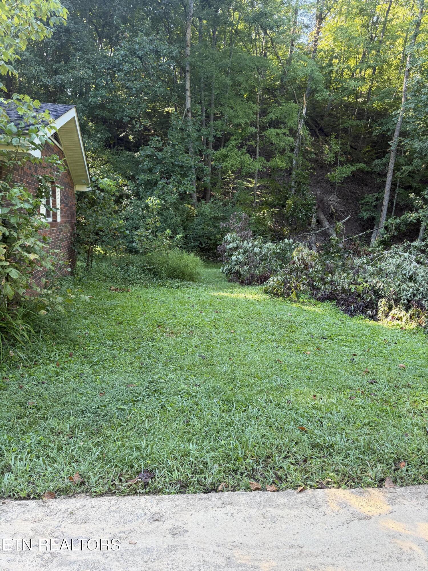 260 Dark Hollow Road Andersonville TN 37705