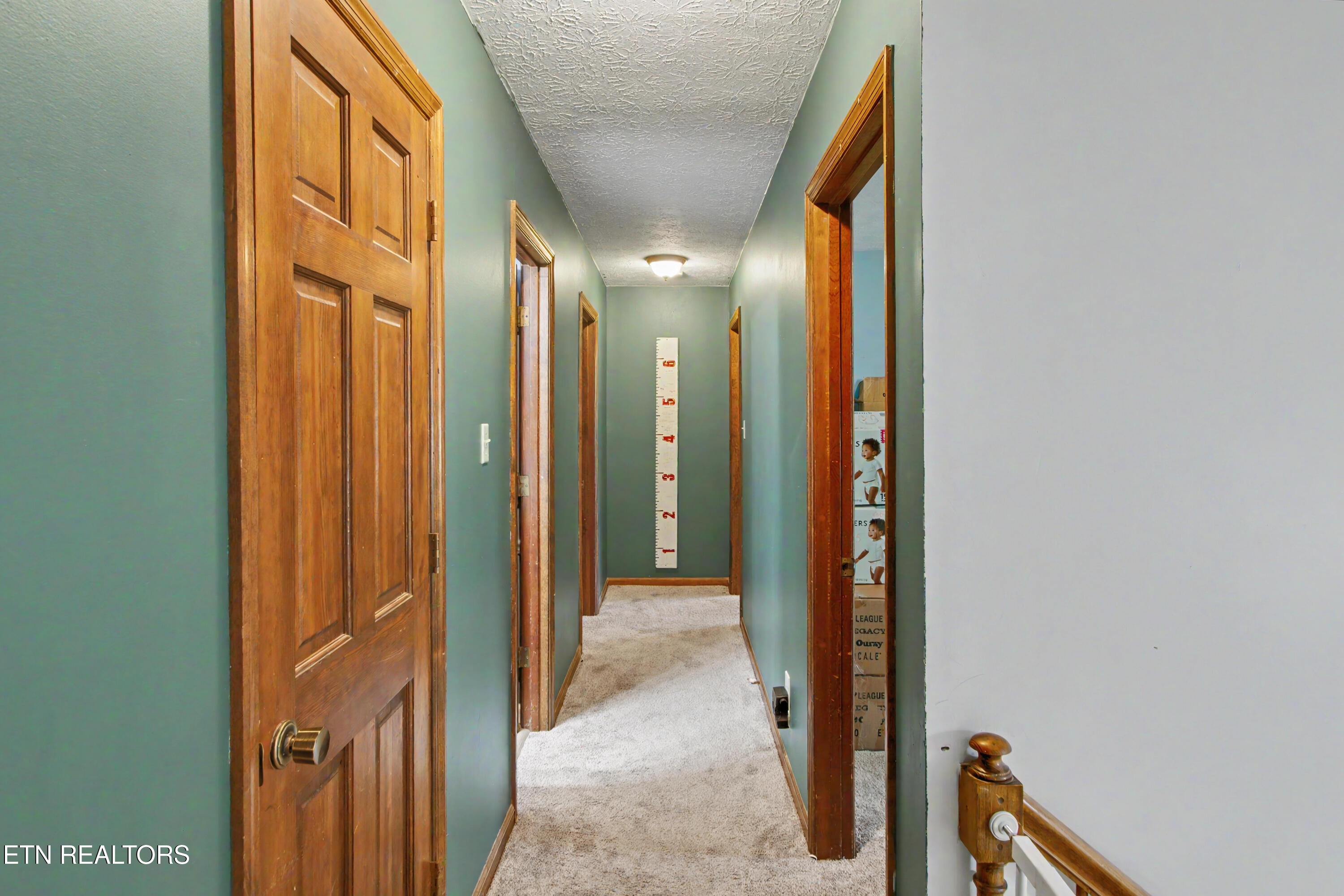 11521 S Monticello Drive Knoxville TN 37934