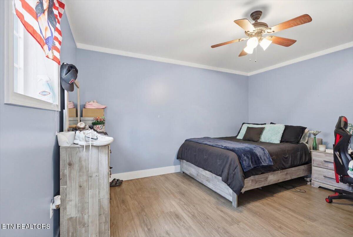 4207 Fulton Drive Knoxville TN 37918