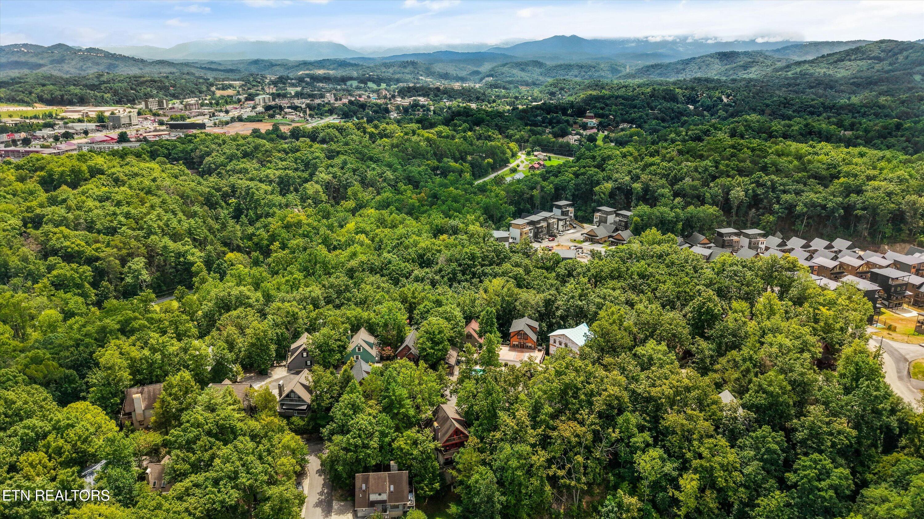 333 Woodridge Way Pigeon Forge TN 37863
