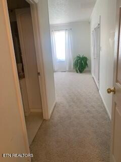 2715 Blount Avenue Maryville TN 37804