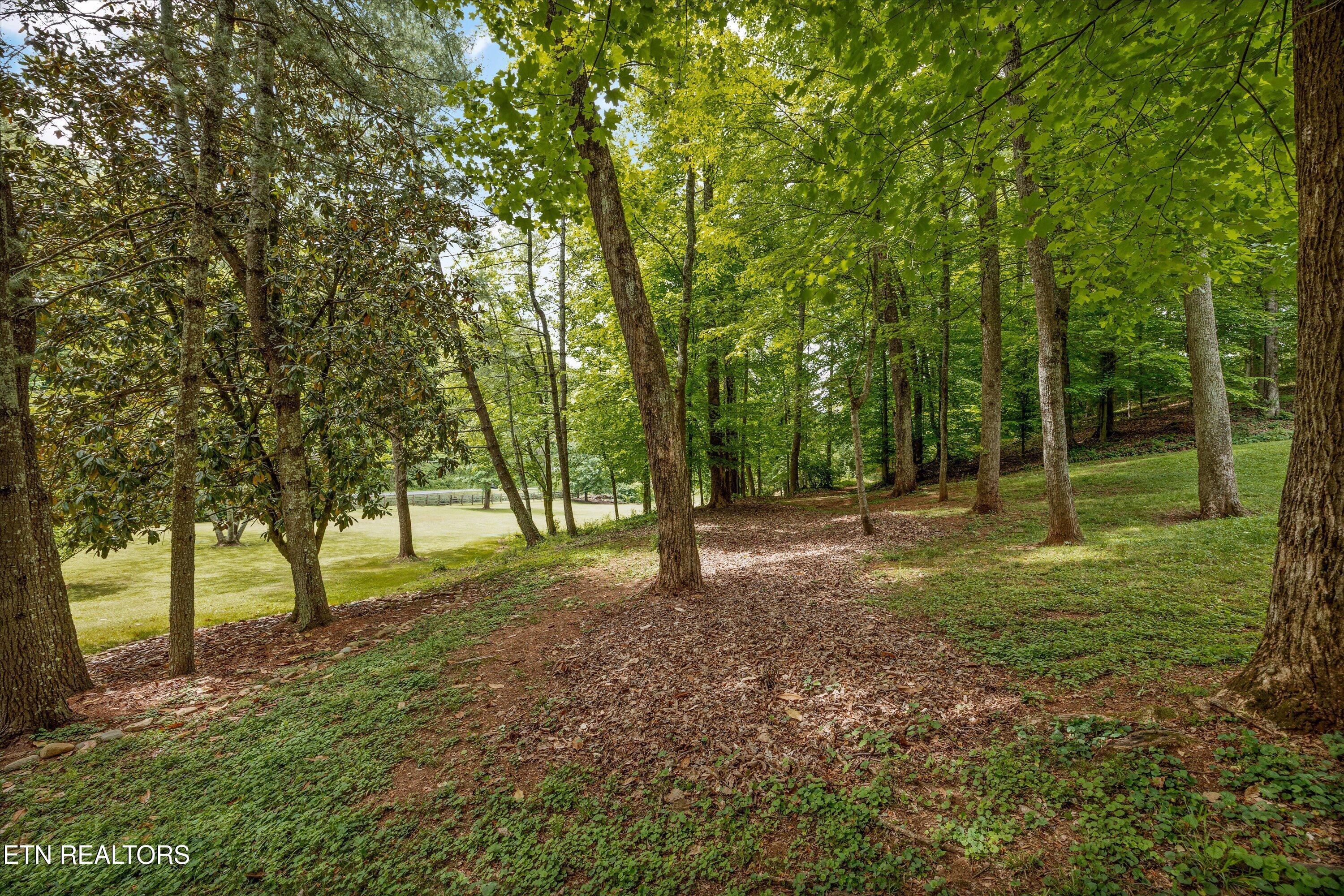 3521 Montlake Drive Knoxville TN 37920