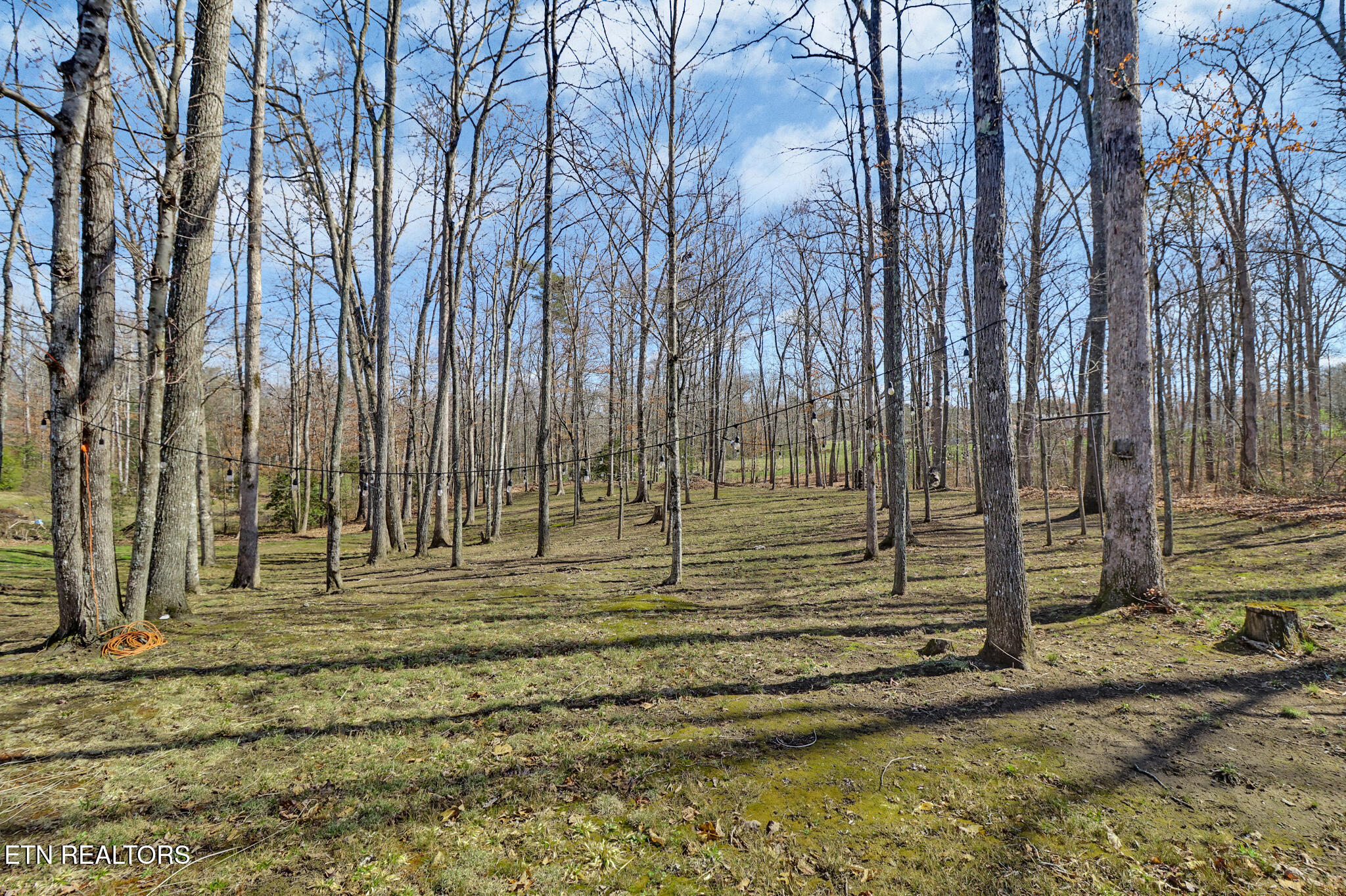 82 Scott Creek Road Crossville TN 38571