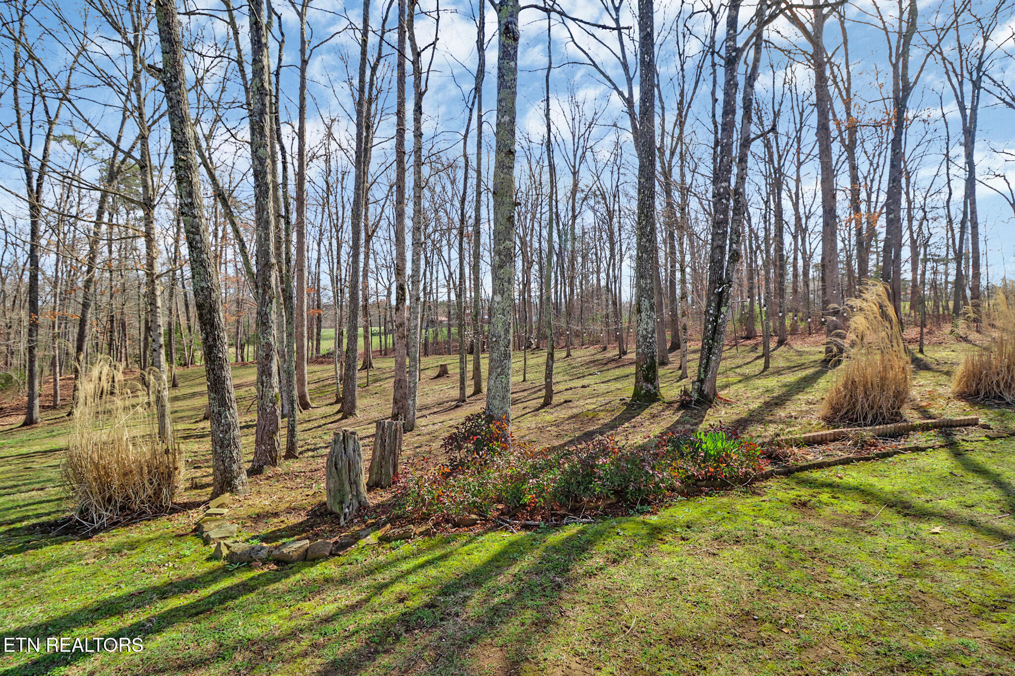 82 Scott Creek Road Crossville TN 38571
