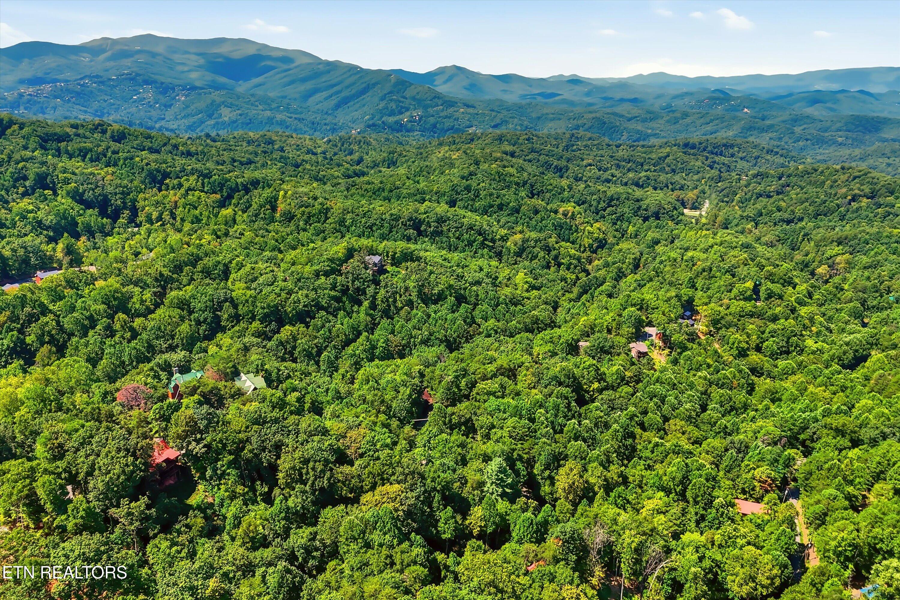 1605 Silver Poplar Lane Sevierville TN 37876