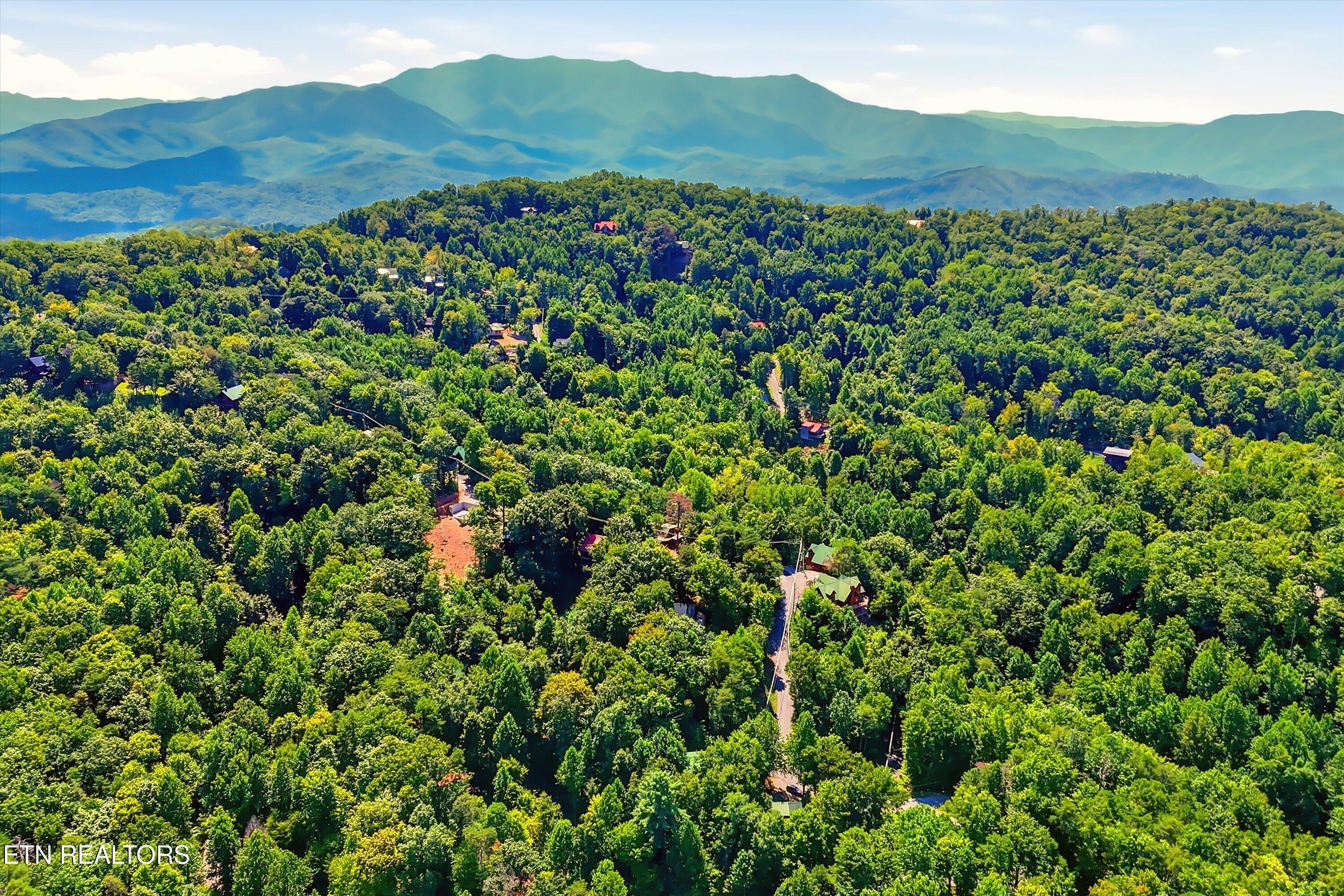 1605 Silver Poplar Lane Sevierville TN 37876